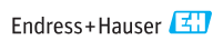 Endress & Hauser